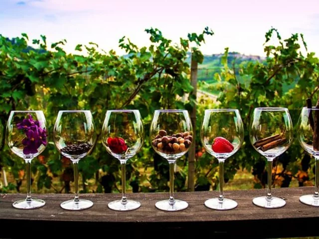 Mastering the Art of Wine Tasting: Five Essential Rules