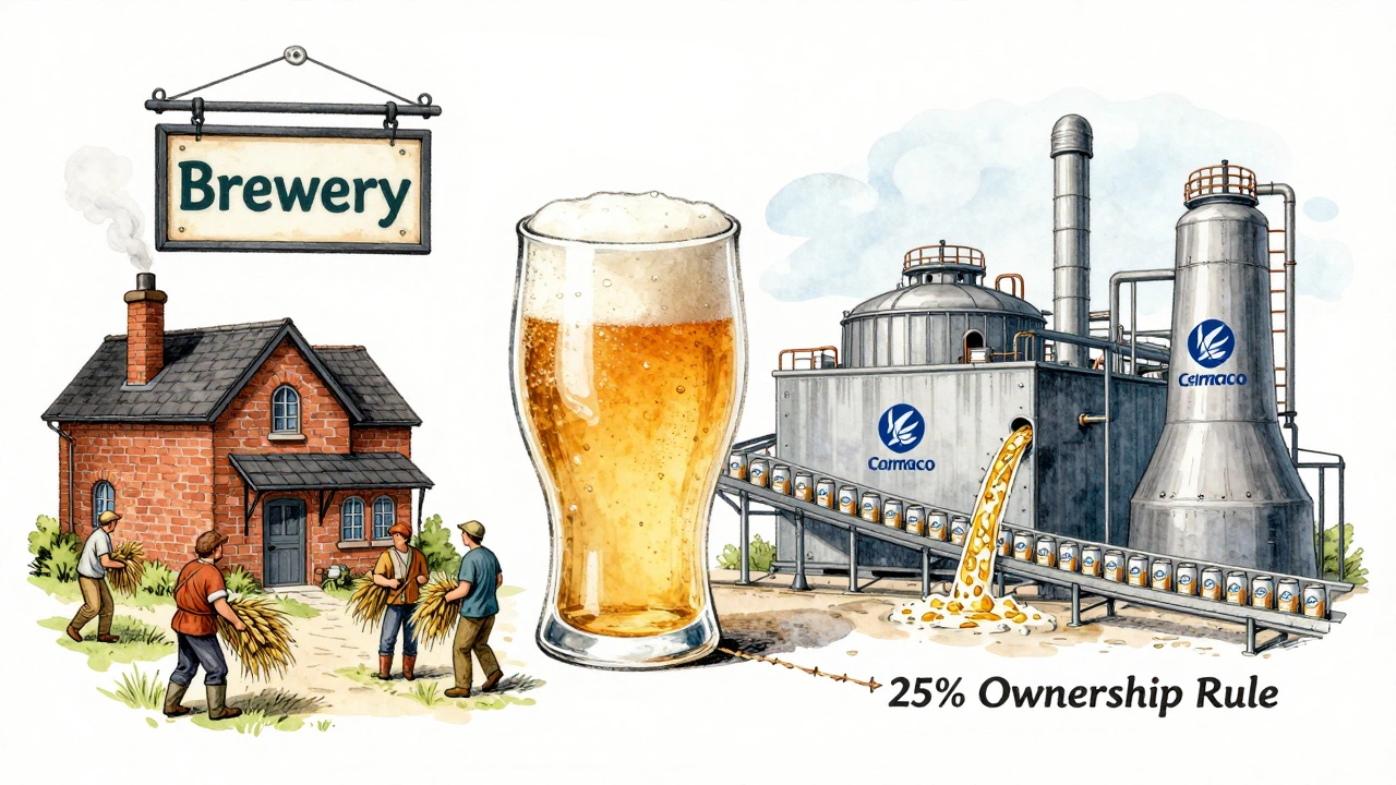 Split illustration: small independent brewery vs. corporate plant, connected by a fragile rope labeled &#039;25% ownership&#039;.